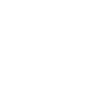 ico-safe